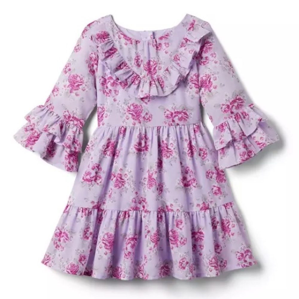Janie and Jack Chiffon Roses Dress